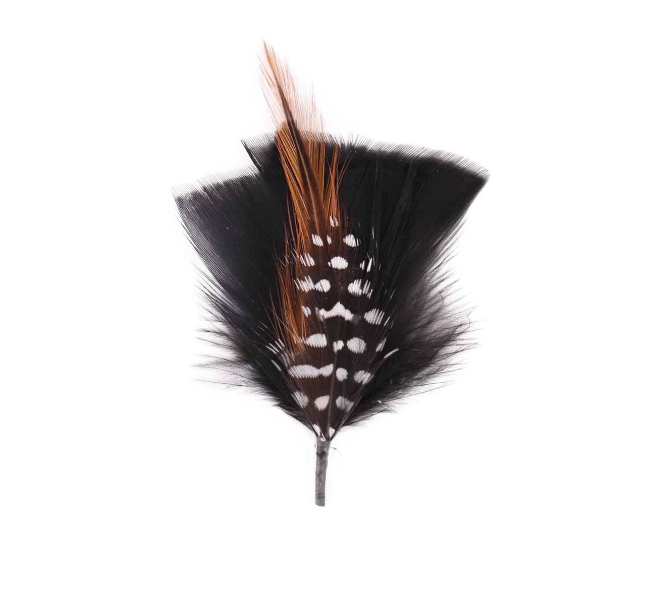 Plumes pour chapeau 