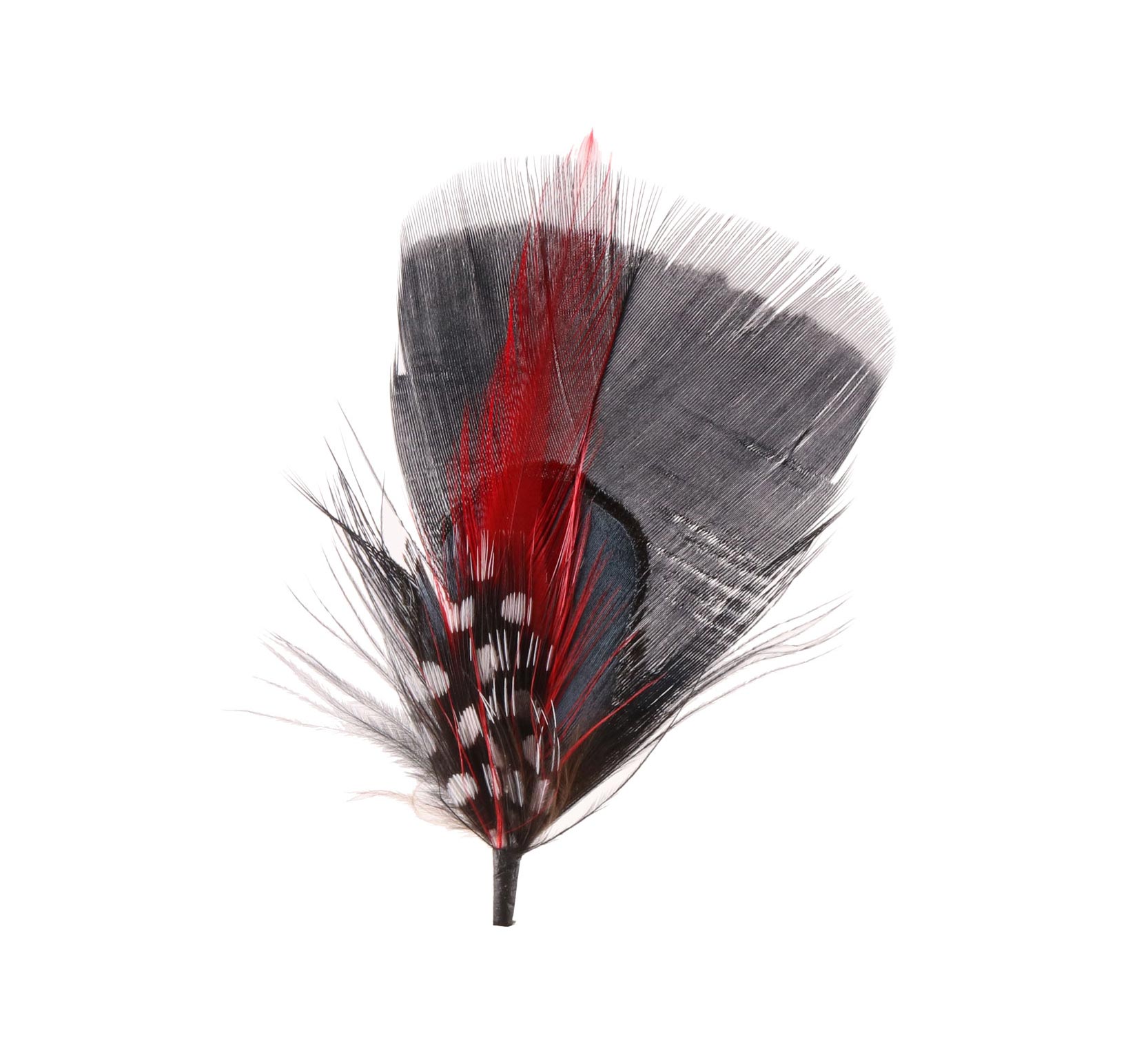 Plumes pour chapeau 