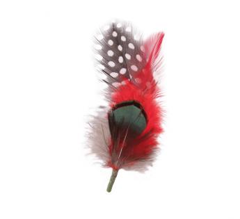 Plumes pour chapeau Plumes pour Chapeau
