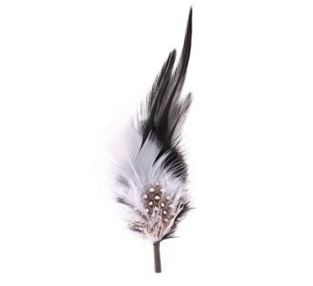 Plumes pour chapeau Plumes pour Chapeau