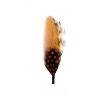 Plumes pour chapeau Plumes pour Chapeau