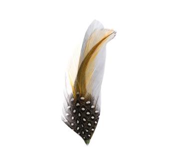 Plumes pour chapeau Plumes pour Chapeau